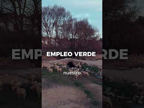 Short 2 · Piedra Seca en Los Pedroches